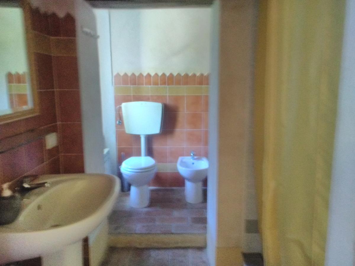 L'asino Vola * Murci